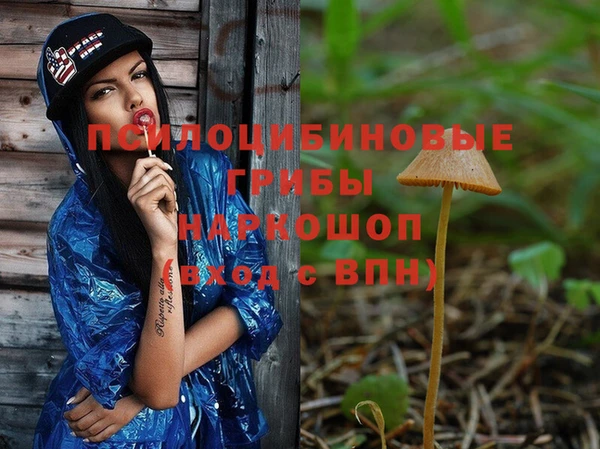 прущий лед Няндома