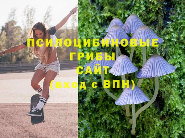 прущий лед Няндома